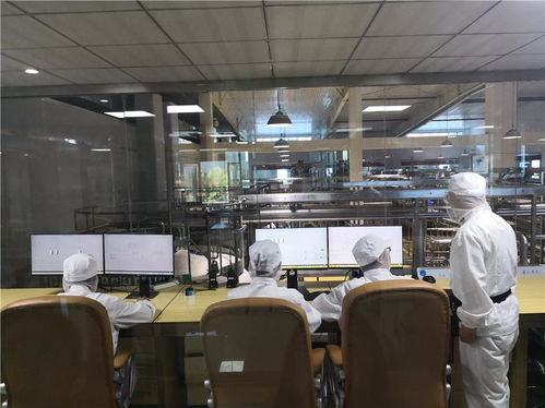 西藏规模最大乳品加工厂正式投产运营