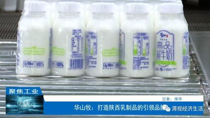 华山牧:打造陕西乳制品的引领品牌