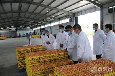 市复审办检查蓝田县、阎良区国家食品安全示范城市复审迎检工作