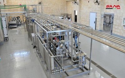 叙利亚消息:叙乳制品和乳酪实验室努力研发生产高品质产品